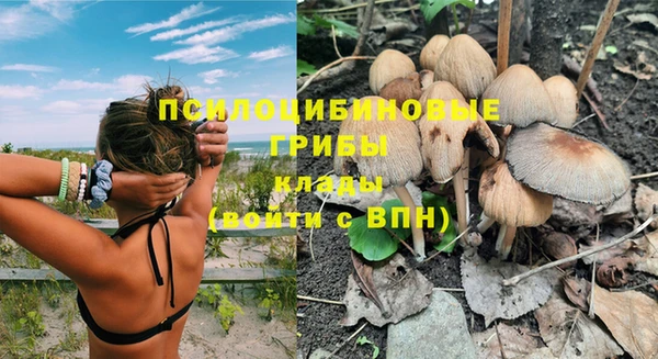 прущие крисы Арсеньев