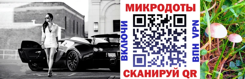 Галлюциногенные грибы Psilocybe  Осинники 